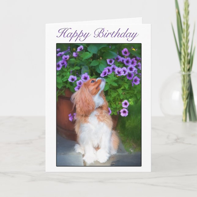 Tarjeta Feliz Cumpleaños Olfateando Flores Rey Charles Per (Anverso)
