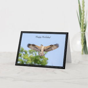 Tarjeta Feliz cumpleaños Osprey