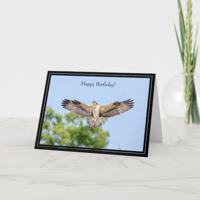 Tarjeta Feliz cumpleaños Osprey (Anverso)