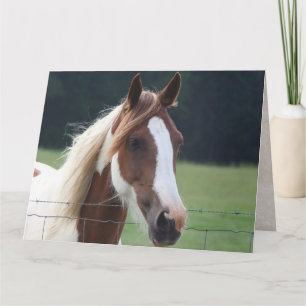 Tarjeta Feliz cumpleaños Paint Horse Equestrian Riding Car
