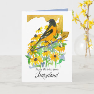 Tarjeta Feliz Cumpleaños Pájaro Oriol de Baltimore Marylan
