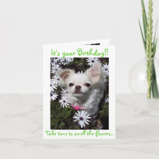 Tarjeta Feliz cumpleaños para los perros