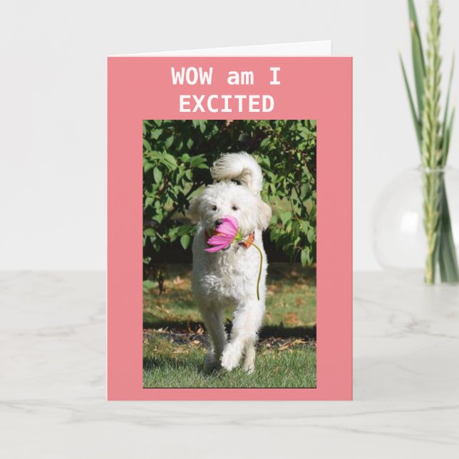 TARJETA FELIZ CUMPLEAÑOS PARA MI **HIJA** (Anverso)