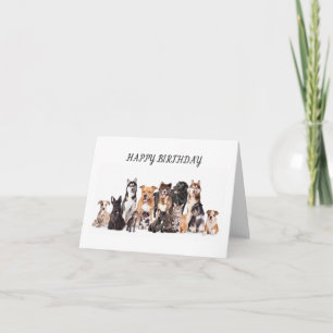 TARJETA **FELIZ CUMPLEAÑOS PARA MI VETERINARIO FAVORITO**