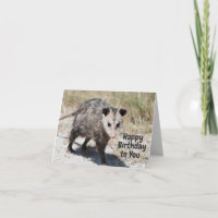 Feliz cumpleaños para ti, paseo por Opossum