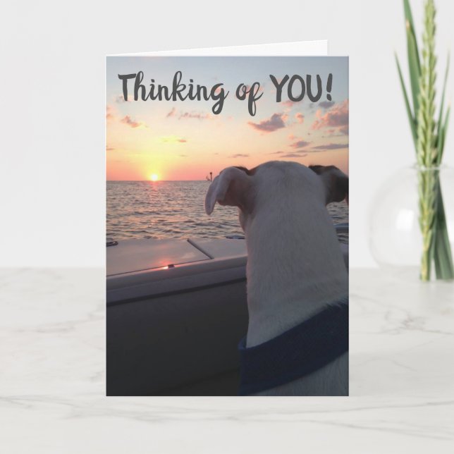 TARJETA FELIZ CUMPLEAÑOS PARA UN AMIGO ESPECIAL (Anverso)