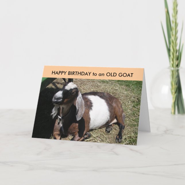 Tarjeta FELIZ CUMPLEAÑOS para una cabra vieja (Anverso)