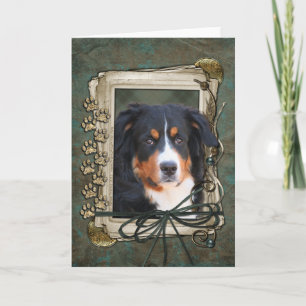 Tarjeta Feliz cumpleaños - patas de piedra - perro de