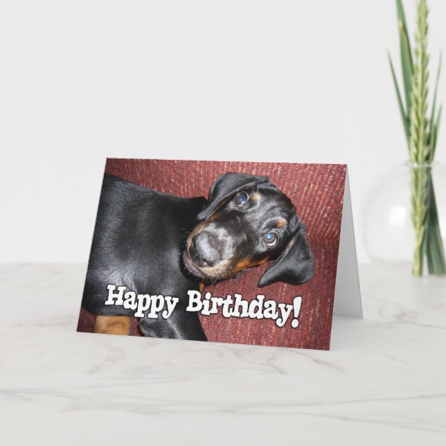 Tarjeta Feliz cumpleaños - perrito del Pinscher del (Anverso)