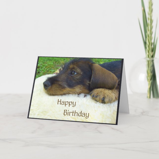 Tarjeta Feliz cumpleaños, perrito lindo del Dachshund (Anverso)