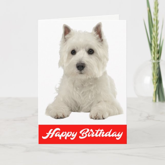 Tarjeta Feliz cumpleaños, Perro cachorro de Tierras Blanca (Anverso)