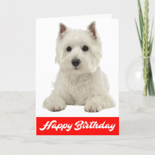 Tarjeta Feliz cumpleaños, Perro cachorro de Tierras Blanca