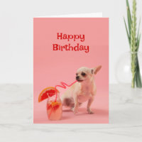 Feliz cumpleaños, perro con bebida de cóctel
