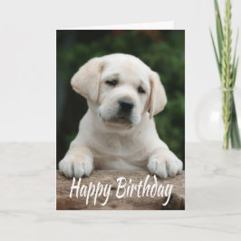 Tarjeta Feliz cumpleaños, perro de cachorro amarillo recup