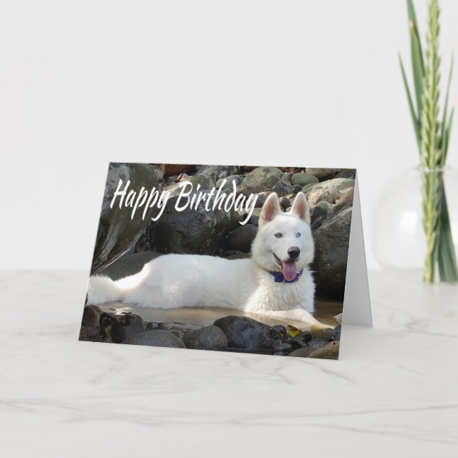 Tarjeta Feliz cumpleaños Perro de cachorro siberiano blanc (Anverso)