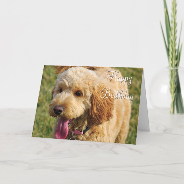 Tarjeta Feliz cumpleaños, perro dordendoodle (Anverso)