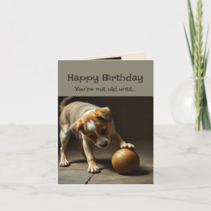 Tarjeta Feliz cumpleaños, perro lindo, no eres viejo hasta