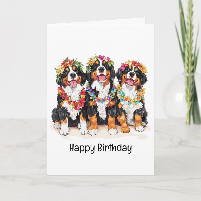 Tarjeta Feliz cumpleaños, perros de montaña Berneses de Ha (Anverso)