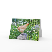 Feliz Cumpleaños Pollo Con Margaritas