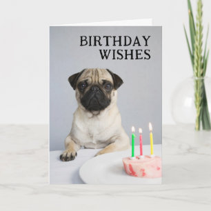 Tarjeta Feliz cumpleaños Pug