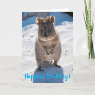 Tarjeta Feliz cumpleaños Quokka Card