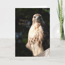 Tarjeta Feliz cumpleaños, Red Tail Hawk