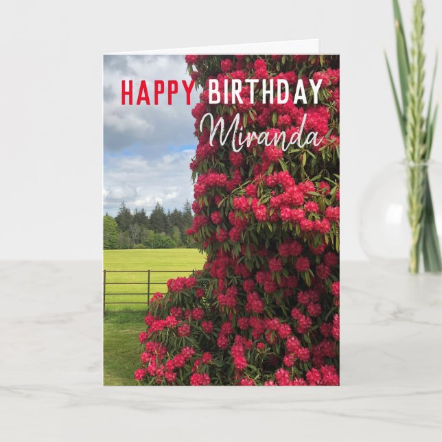 Tarjeta Feliz cumpleaños - Rhododendron y visión escénica (Anverso)