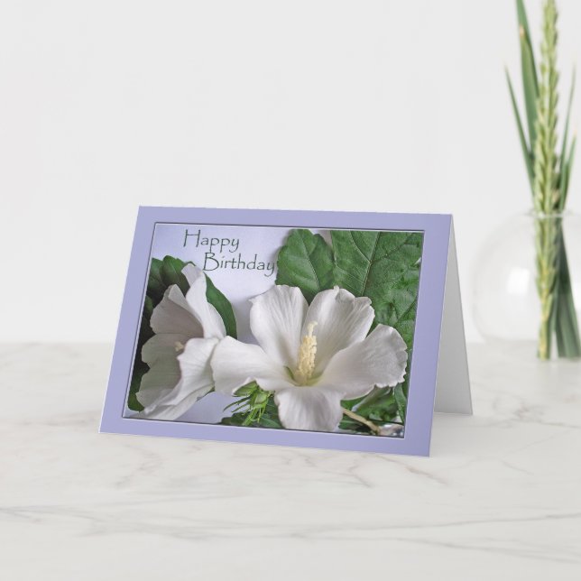 Tarjeta Feliz Cumpleaños Rosa de Sharon Hibisco Blanco (Anverso)