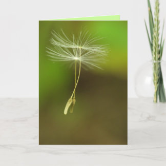 Tarjeta Feliz cumpleaños - semillas del diente de león del