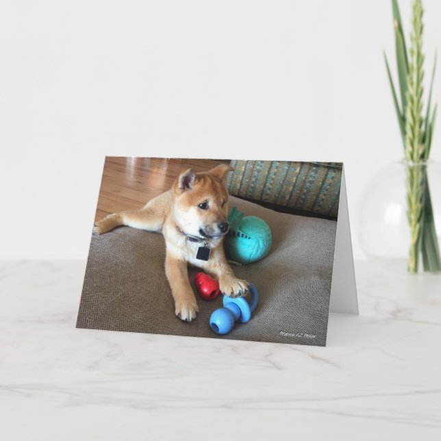 Tarjeta Feliz cumpleaños, Shiba Inu, foto de juguetes colo (Anverso)