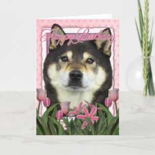 Tarjeta Feliz cumpleaños - Shiba Inus - Yasha