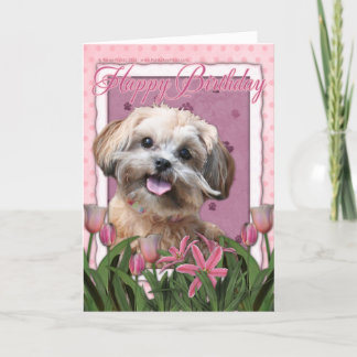 Tarjeta Feliz cumpleaños - ShihPoo - Maggie