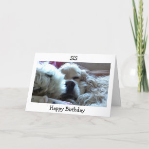 TARJETA FELIZ CUMPLEAÑOS SIS-TOMAR NAP/HACER LO QUE QUIERA