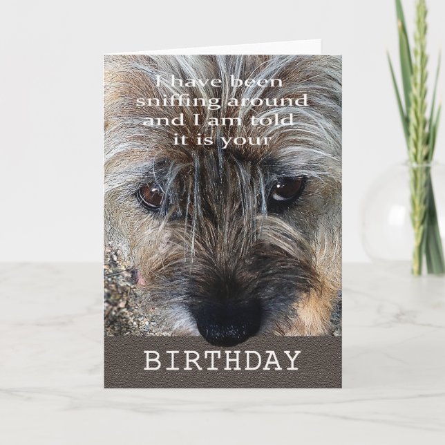 Tarjeta Feliz cumpleaños, terrier de frontera que huele (Anverso)