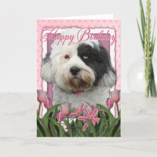 Tarjeta Feliz cumpleaños - Terrier tibetano
