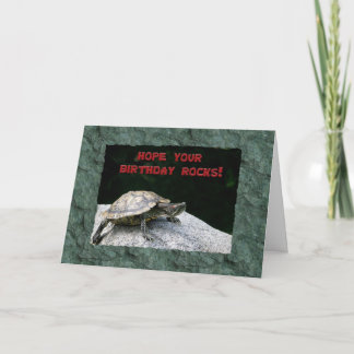 Tarjeta Feliz cumpleaños, tortuga en roca