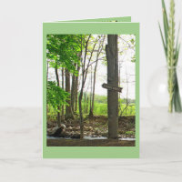 Feliz cumpleaños trucha Rótulo Pesca Relajación