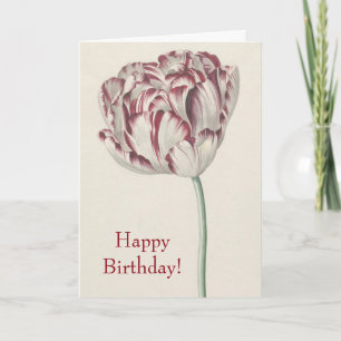 Tarjeta Feliz cumpleaños - Tulipán blanco y rojo vintage
