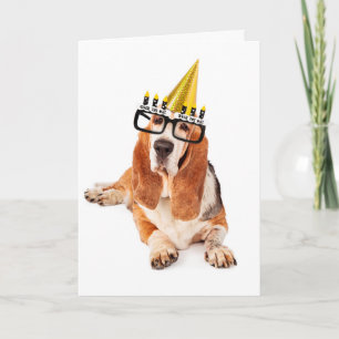 Tarjeta Feliz cumpleaños usted perro viejo