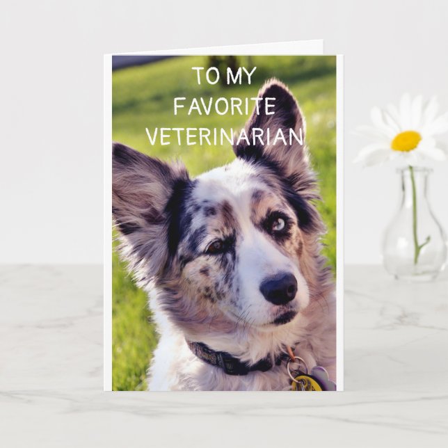 TARJETA FELIZ CUMPLEAÑOS **VETERINARIO FAVORITO** (Planta pequeña)
