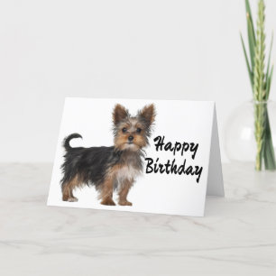 Tarjeta Feliz cumpleaños, Yorkshire Terrier Perro Cachorro