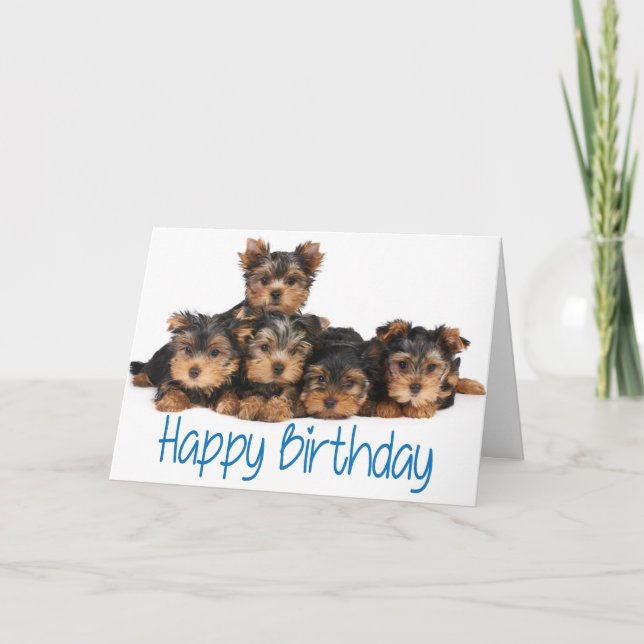 Tarjeta Feliz cumpleaños Yorkshire Terrier Perro de cachor (Anverso)