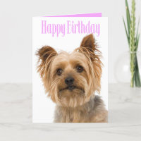 Feliz cumpleaños Yorkshire Terrier Perro de cachor