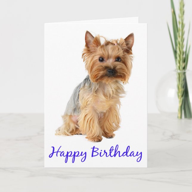 Tarjeta Feliz cumpleaños, Yorkshire Terrier Puppy Dog Card (Anverso)