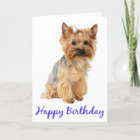 Feliz cumpleaños, Yorkshire Terrier Puppy Dog Card