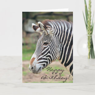 Tarjeta Feliz cumpleaños Zebra animal