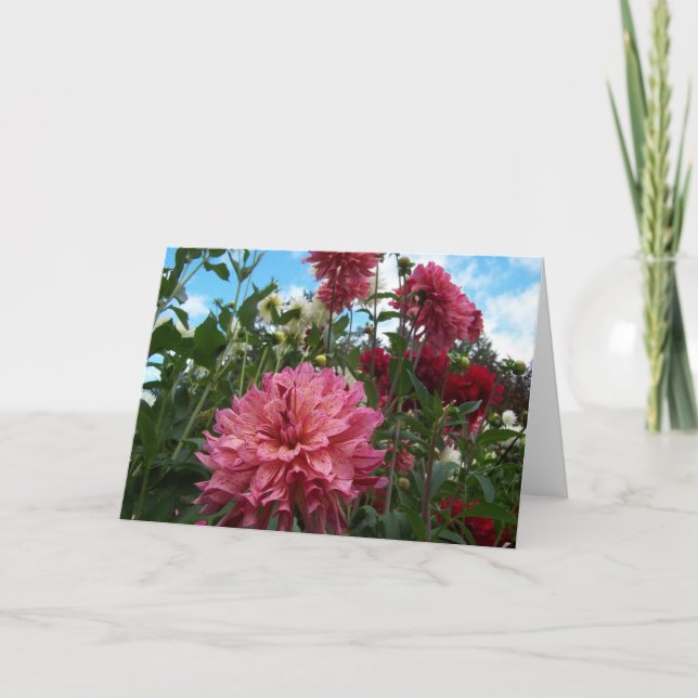Tarjeta Feliz Dahlias (Anverso)