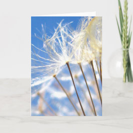 Tarjeta Feliz, Dandelia Bailarina, Poesía de la Naturaleza