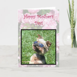Tarjeta feliz de Guay Yorskshire Terrier del día