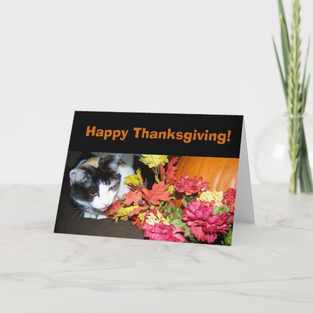 Tarjeta feliz de la acción de gracias del gato de (Anverso)